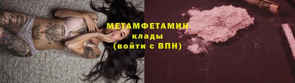 прущие грибы Абдулино