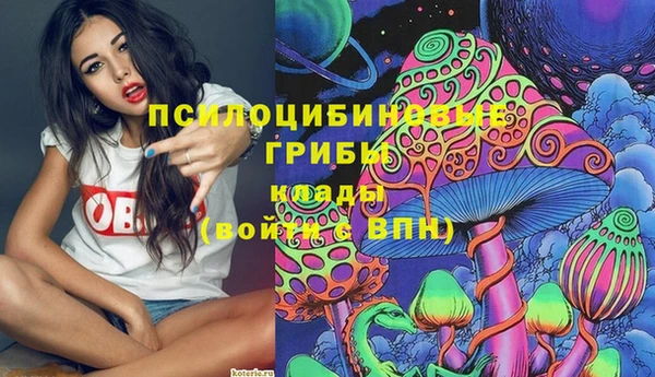 прущие грибы Абдулино