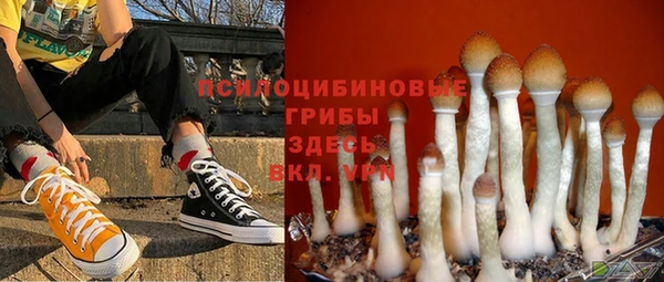 эйфоретик Алексеевка