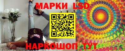 прущие грибы Камышлов
