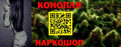 прущие крисы Канаш