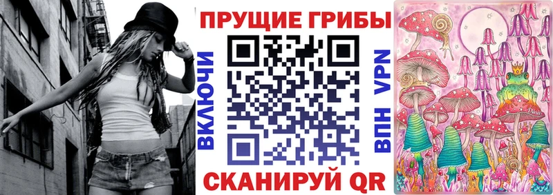 купить закладку  Ливны  Псилоцибиновые грибы GOLDEN TEACHER 